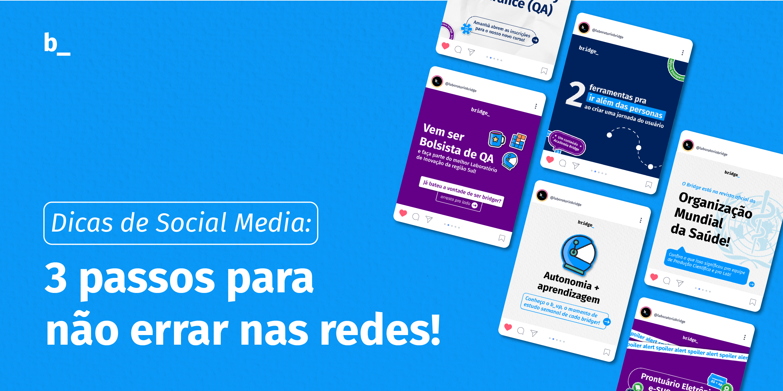 redes-sociais-instagram-linkedin-blog-bridge-ufsc